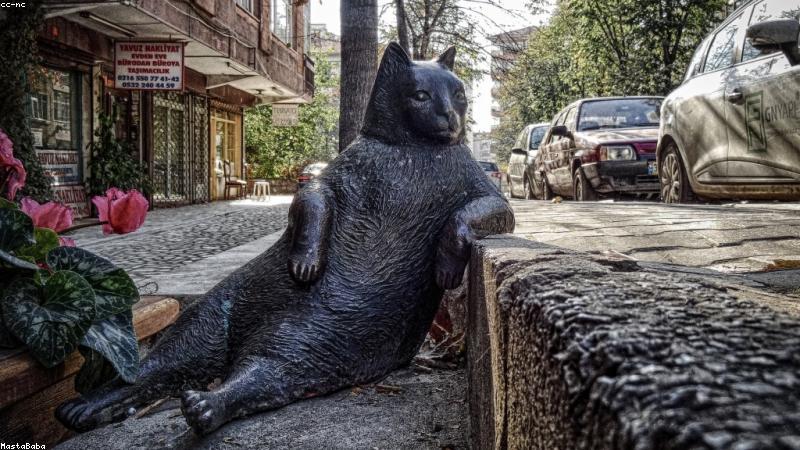 Hướng dẫn bảo quản đồ da sau khi mua về