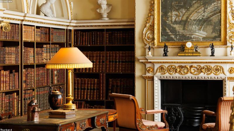 Sách cũ quý hiếm: Thú chơi tao nhã và lợi nhuận khủng