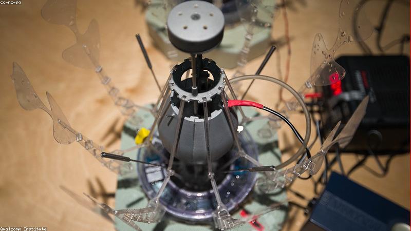 Ra mắt tính năng đấu giá tự động: Đặt giá và để hệ thống làm việc